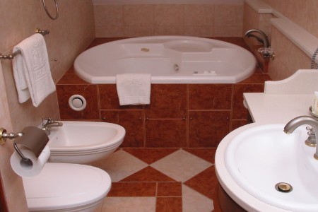 Pałac Czarny Las, Woźniki