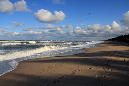 Bursztyn SPA & Wellness, Dąbki