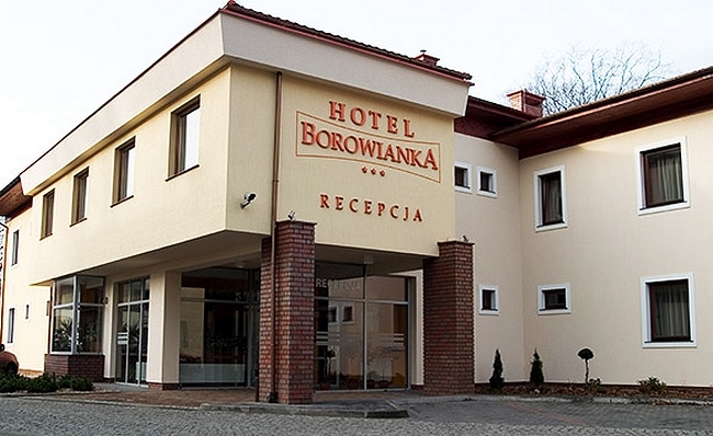Borowianka, Ostrów Wielkopolski