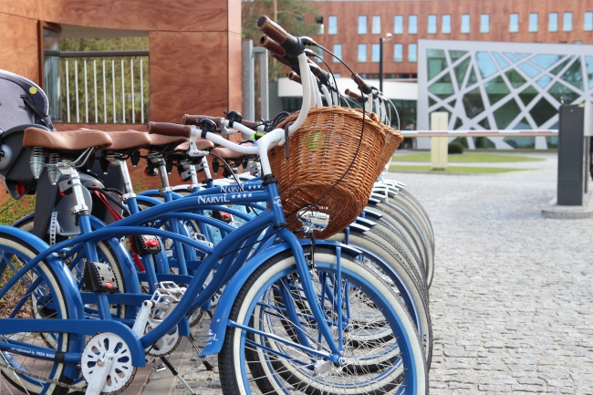 Narvil Conference & SPA, Serock