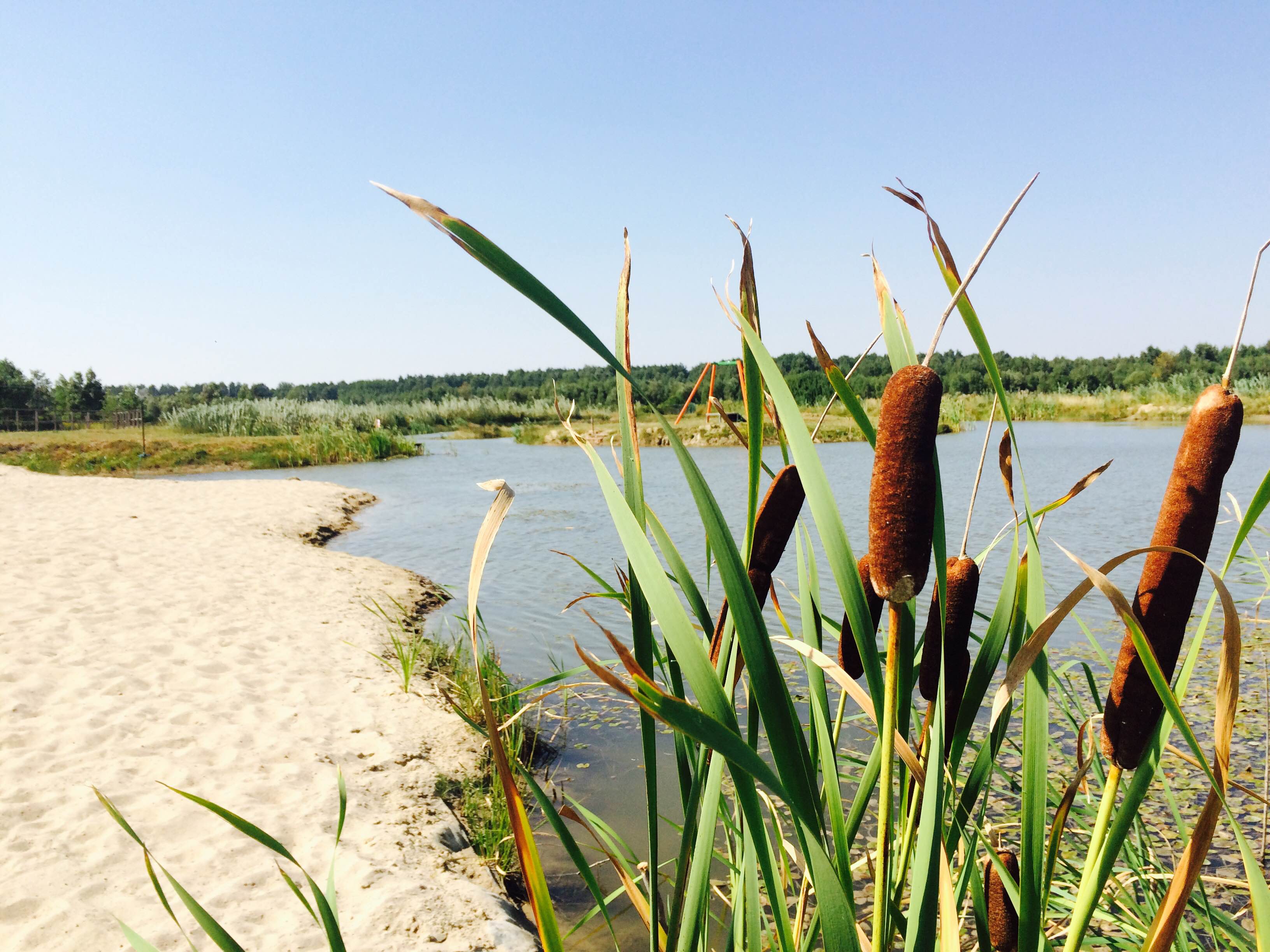 EKWOS - Pokoje & Restauracja, Grębiszew