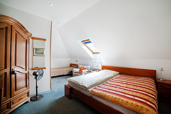 Pelikan, Aleksandrów Łódzki