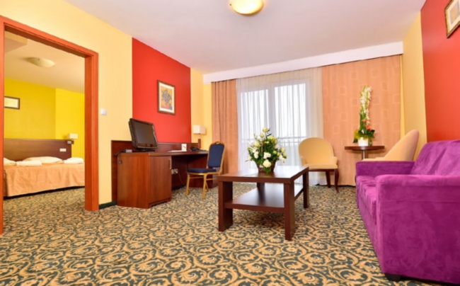 Villa Verde, Zawiercie