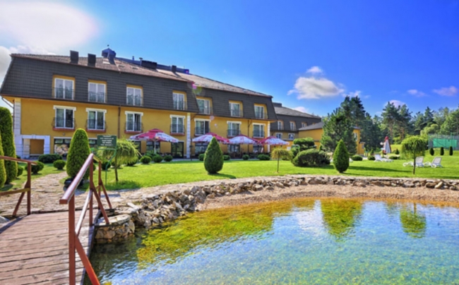 Villa Verde, Zawiercie