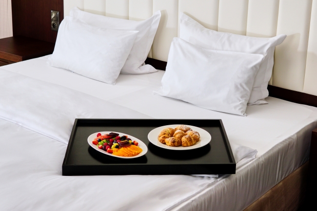 Copernicus Toruń Hotel, Toruń