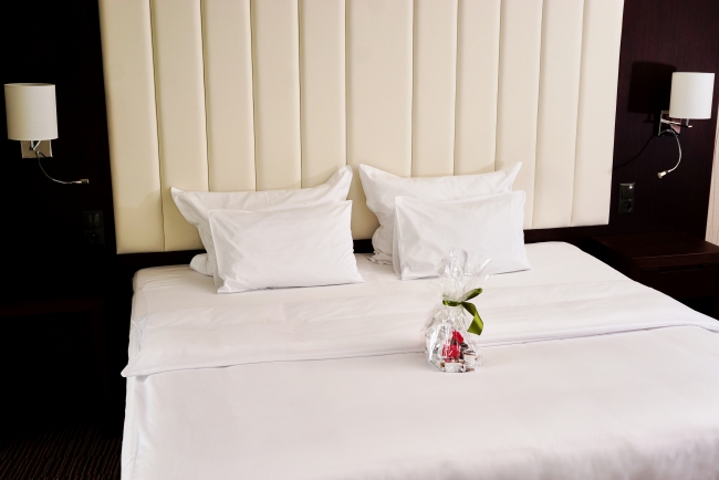 Copernicus Toruń Hotel, Toruń