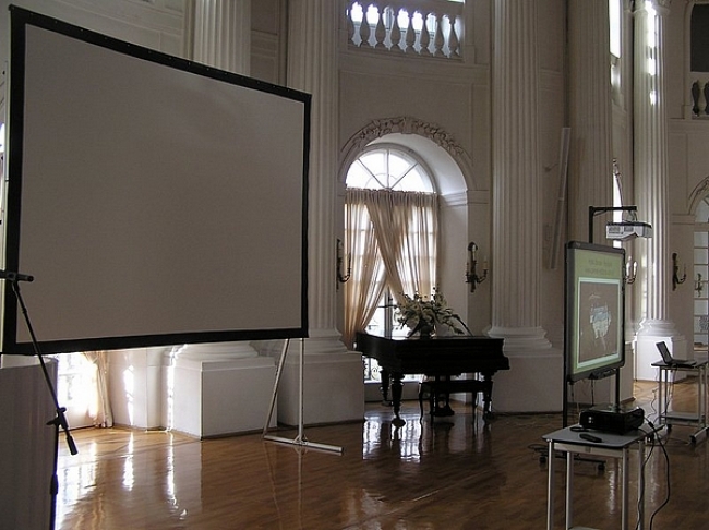 Zamek w Rydzynie, Rydzyna