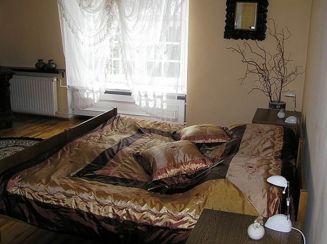 Zamek w Rydzynie, Rydzyna