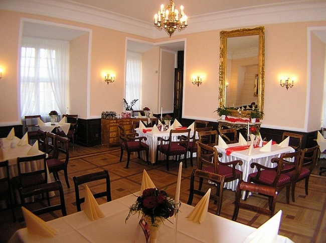 Zamek w Rydzynie, Rydzyna