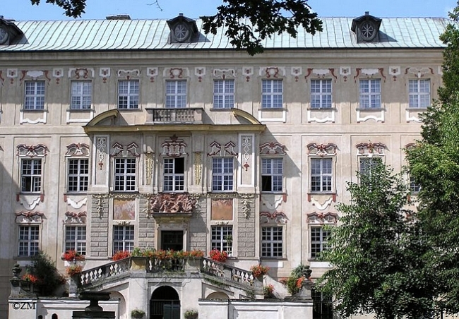 Zamek w Rydzynie, Rydzyna