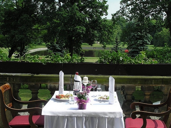 Zamek w Rydzynie, Rydzyna