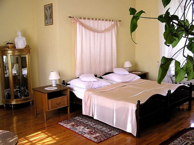 Zamek w Rydzynie, Rydzyna