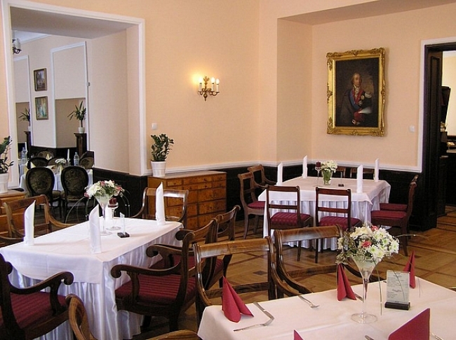 Zamek w Rydzynie, Rydzyna