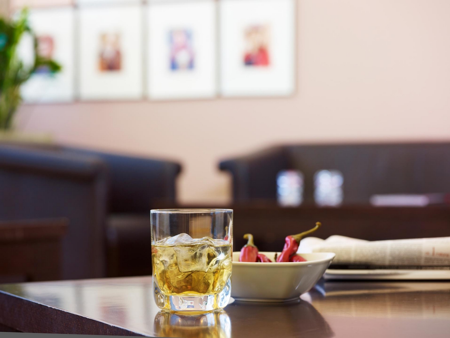 Focus Łódź, Łódź