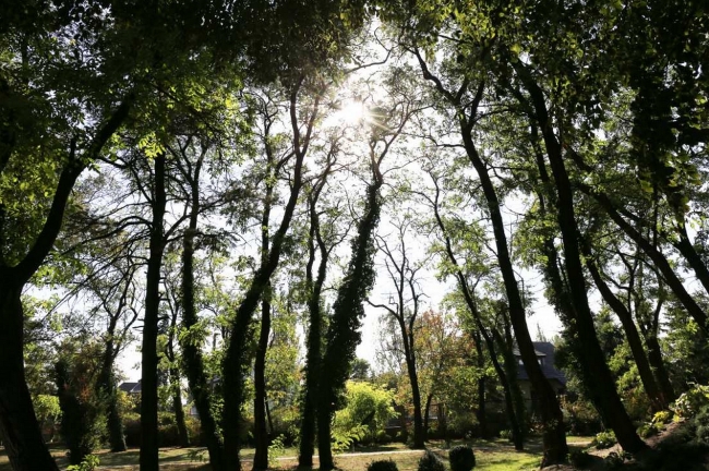 Hotel Villa Park, Opole