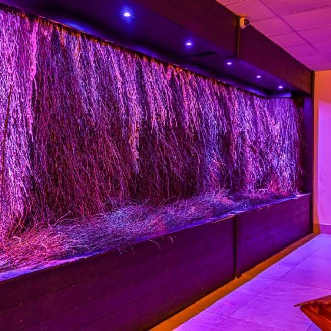 Hotel Business Faltom Gdynia, Rumia