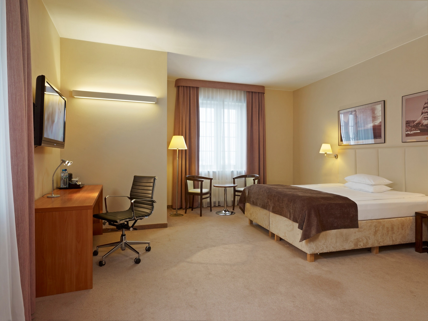 Focus Szczecin, Szczecin