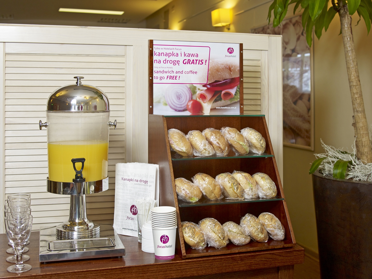 Focus Szczecin, Szczecin