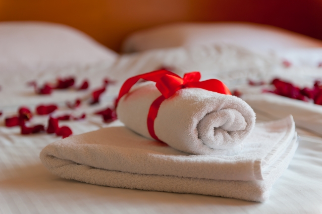 Rezydencja Izabella, Wisła