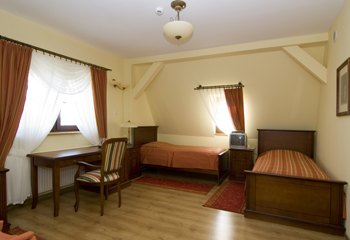 Zamek Rogów Opolski, Rogów Opolski