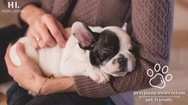 Hotel Legend, Kraków