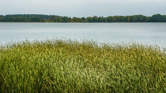 Apartamenty M&M, Mikołajki