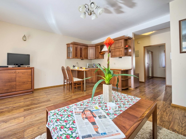 Poetic Apartment VisitZakopane, Zakopane