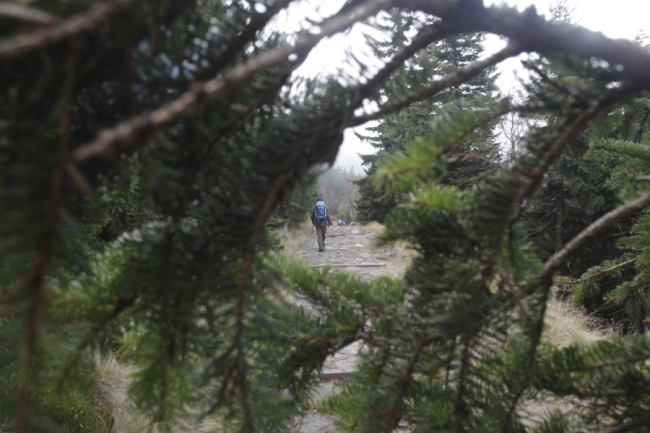 Rezydencja Victoria, Karpacz