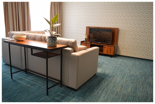 Apartamenty Róże i Zen, Toruń