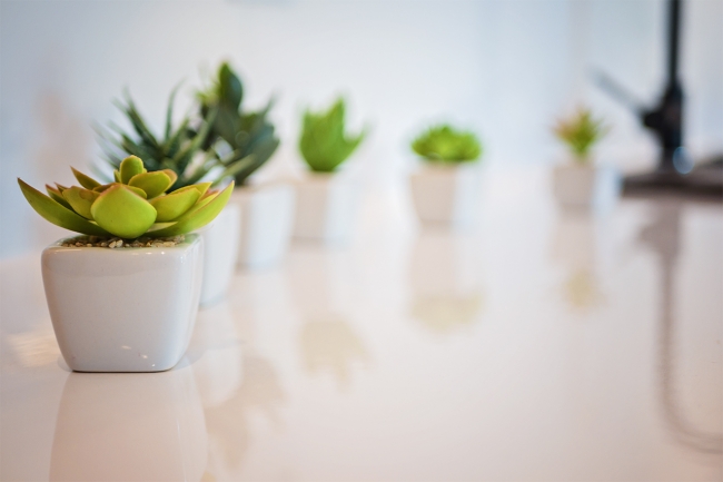 Apartament Malibu, Poznań