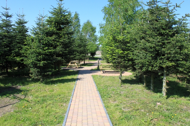 Cedrowy Dworek, Cedry Wielkie