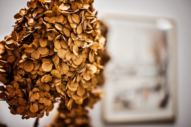 Apartament Homely Place Penthouse Centrum, Poznań