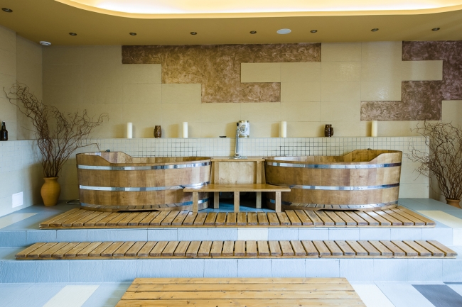 Dziki Potok Konferencje Grill & Prestige SPA, Karpacz