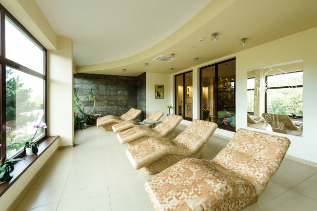 Dziki Potok Konferencje Grill & Prestige SPA, Karpacz