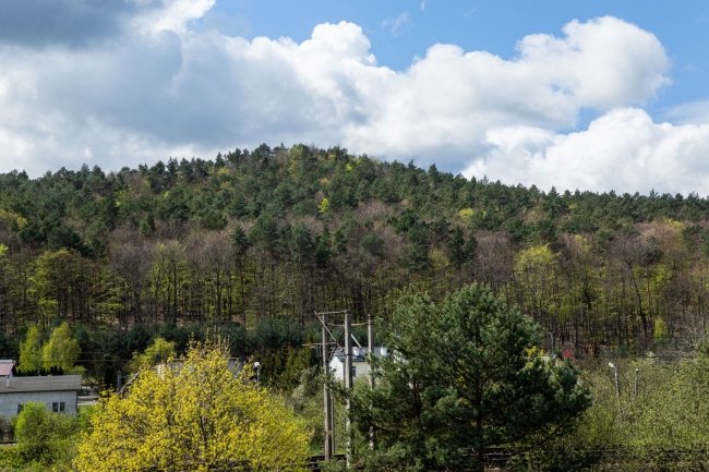 Hotel J.J. Darboven, Rumia