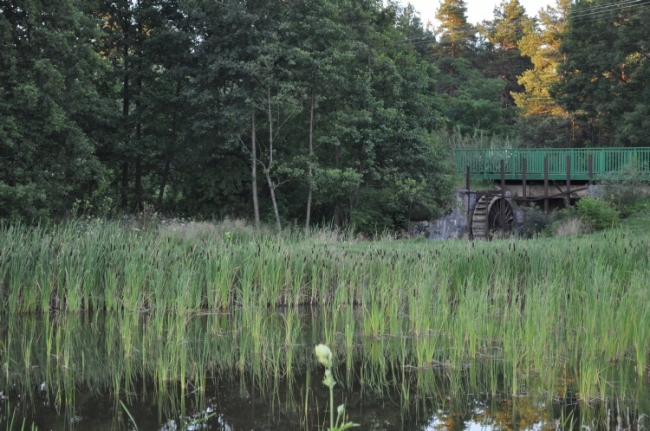 DOMEK MAJOWY, Nowiny