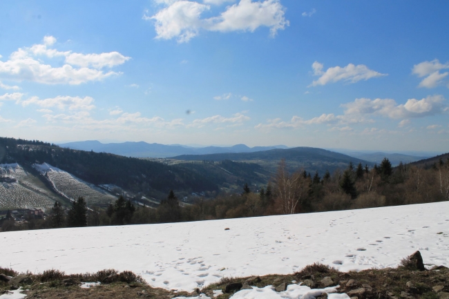 Agroturystyka Góry Sowie Urszula i Roman Orłowscy, Ludwikowice Kłodzkie