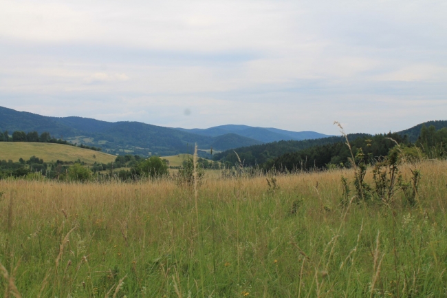 Agroturystyka Góry Sowie Urszula i Roman Orłowscy, Ludwikowice Kłodzkie