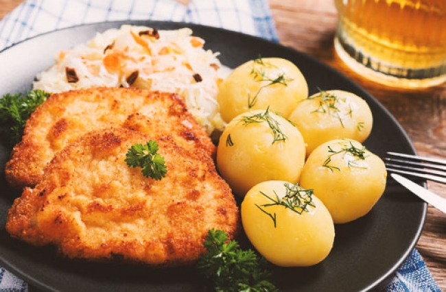 Willa Kamila, Zakopane