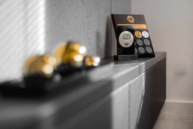 Apartamenty Homely Place Channel Centrum, Poznań