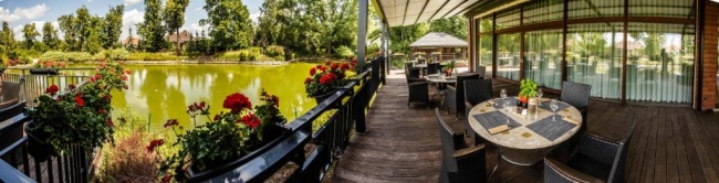 Kolumna Park, Przygoń