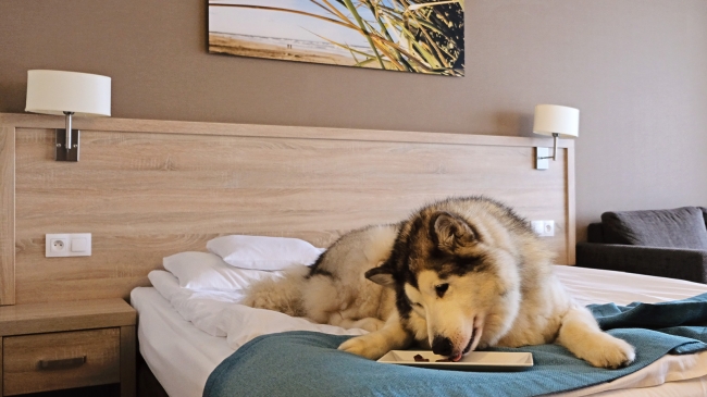 Tristan Hotel & SPA, Kąty Rybackie