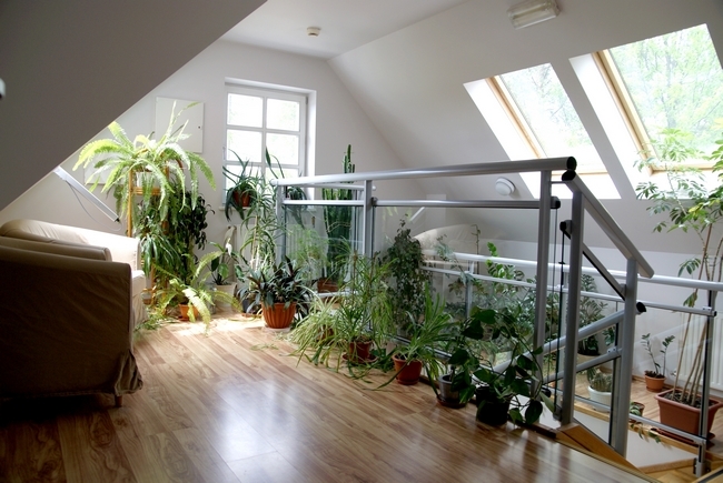 Willa Marysin, Bukowina Tatrzańska