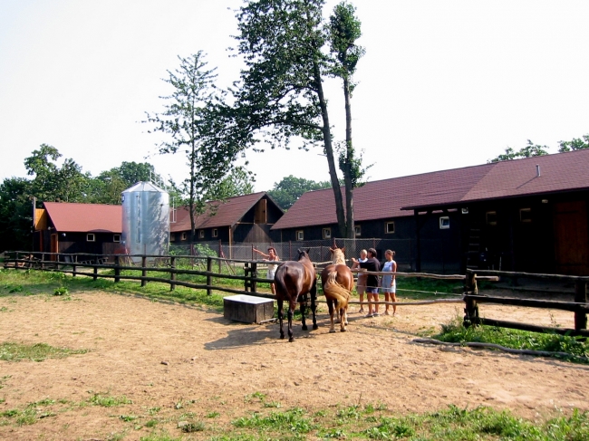 Dwór Bychowo, Bychowo