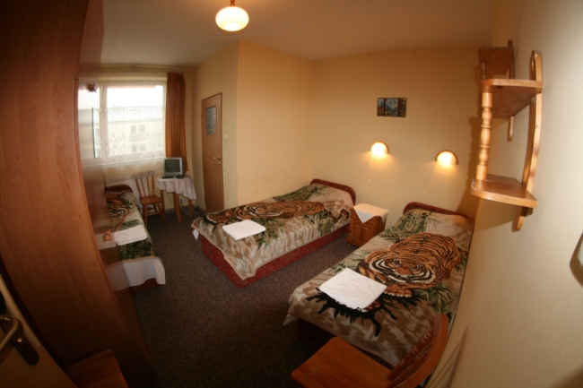 Daisy Budżet, Kraków