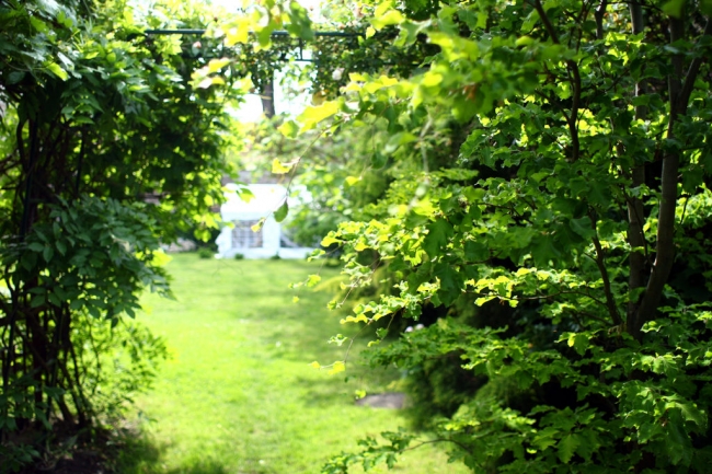 Aparthotel Miodosytnia, Kraków