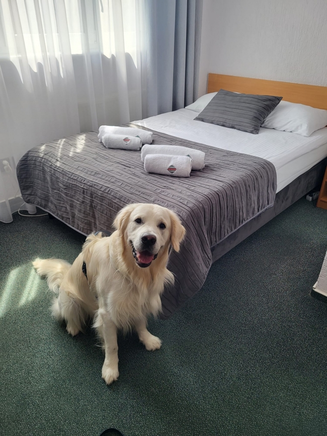 Gromada Poznań, Poznań